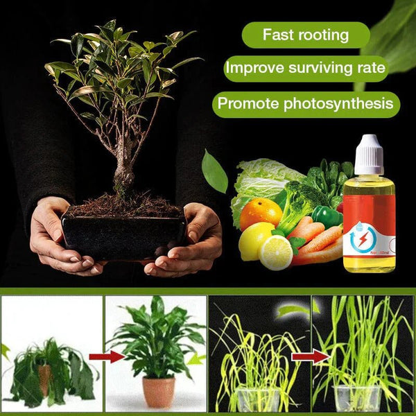 PlantGrowth© (1+2 GRATIS) - Plantengroeiversterker Supplement - Jumplein